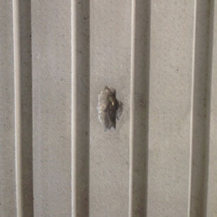 コンクリート補修